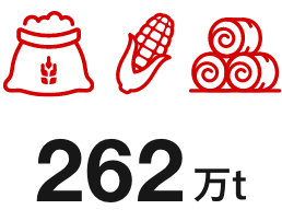 262万t