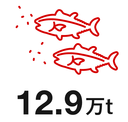 12.9万t