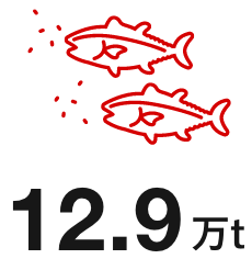 12.9万t