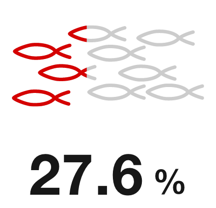 27.6%