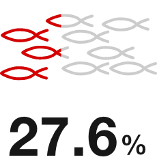 27.6%