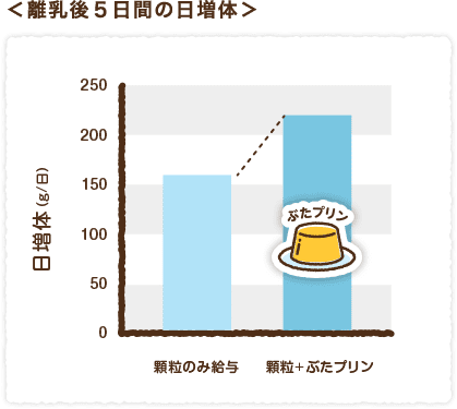 離乳後５日間の日増体