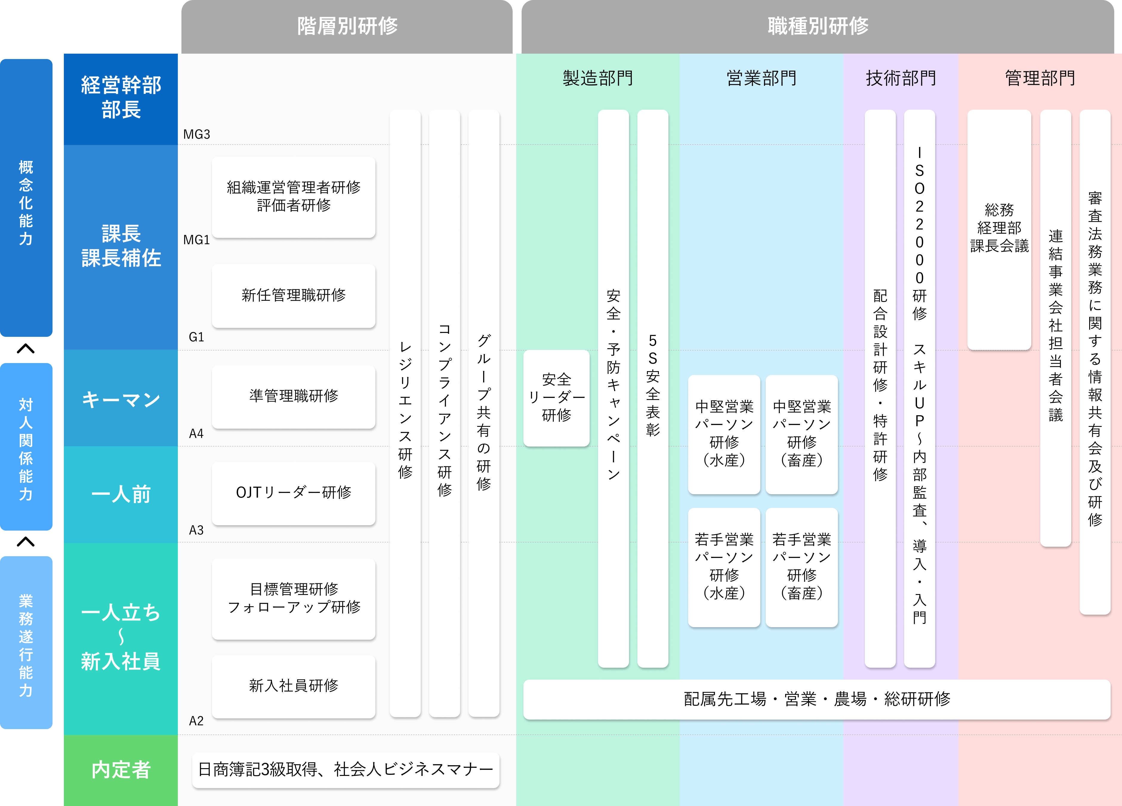 研修体系図